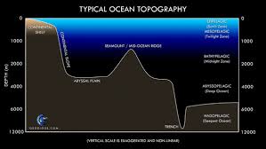 deep ocean biome