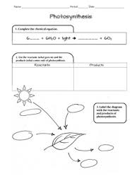 Photosynthesis Ngss Scaffolded Worksheet