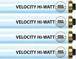 Wolff Velocity Hi-Watt F73 HO 100-120W RDC Tanning Lamp - Premium Bronzing  Bulbs! (20) : Amazon.ca: Beauty & Personal Care