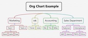 Org Chart Example Template Xmind Mind Map Template