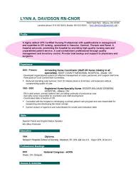 Sample Resume Program Director Adult Education    