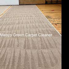 always green carpet cleaner reviews