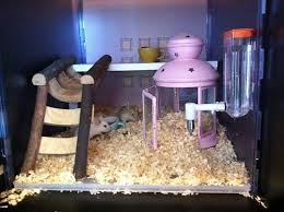 expedit lekman hamster house ikea