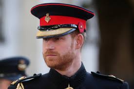 James hewitt has been rumoured to be prince harry's dad since news of his relationship with princess diana became public more than 20 years ago. Business Times
