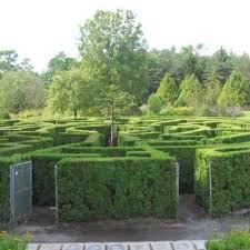 Elizabethan Hedge Maze Vancouver