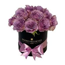 purple roses vine globe flower