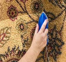 carpet flooring care a step above