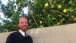 I do not Steal Lemons from someone Elses Lemon Tree - Pornhub.com