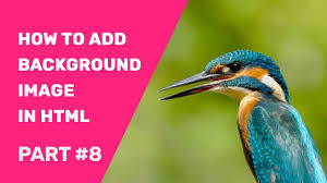 how to add background image in html