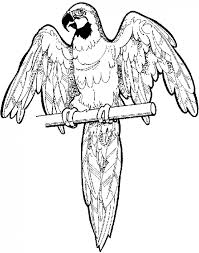 Check spelling or type a new query. Free Online Pictures Of Birds To Color For Adults And Kids Parrot Coloring Page Jungle Coloring Pages Animal Coloring Pages