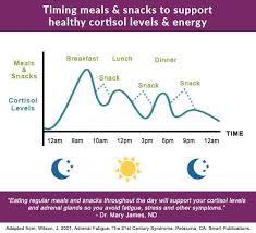 Adrenal Stress Hormones Chart Describing Eating To Support
