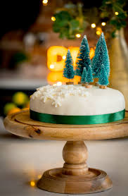 simple christmas cake decoration