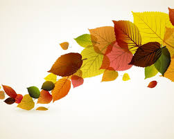 Image result for autumn leaves