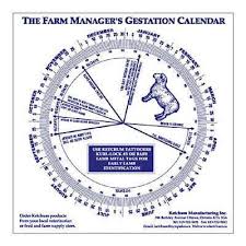 24 Accurate Cow Gestation Period Chart