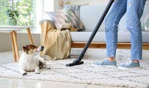 remove pet odor from carpet effectively