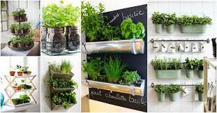 indoor herb garden for small kitchens