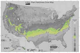 usda gardening zone 7 lovetoknow