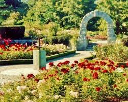 the vandusen botanical garden in