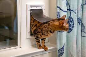 Catio Access Diying A Cat Door Insert