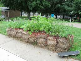 At the end of the season, you can compost the bales, so it's the ultimate in sustainable gardening. Straw Bale Gardening Complete Beginner S Guide Long Read