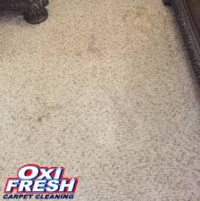 san antonio carpet cleaning reviews