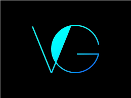 premium vector vg logo design