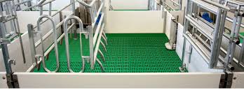 plastic floor systems for pigs lubing