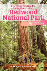Technically, this area is made up of four parts: The Best Things To Do In Redwood National Park With Kids Big Brave Nomad