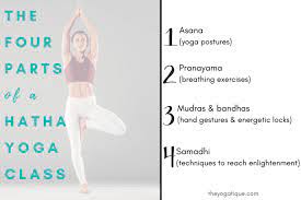 hatha yoga definition what to expect