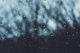 Rain Drops Photography Raindrops
