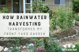 How Rainwater Harvesting Transformed My