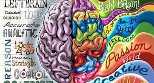 Left Brain vs Right Brain Dominance: The Surprising Truth