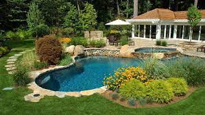 best pool landscaping plants to