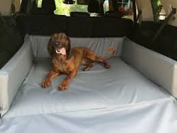 15 best dog blankets for cars healthy