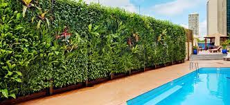 Vertical Garden Friendly Plants