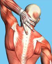 lubbock spine insute muscle spasms
