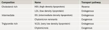 Lipids Module 1 Lipid Metabolism And Its Role In