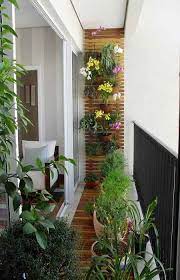 Balcony Gardening Futuro Organic