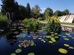 The denver botanic gardens are simply lovely. Another Day In Paradise Denver Botanic Gardens