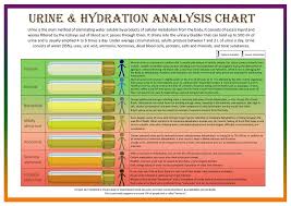 A Unique Visual Tool Urine Hydration Analysis Chart