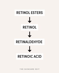 Retinoid Vs Retinol The Best Types Of Vitamin A For Your