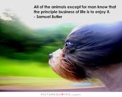 Samuel Butler Quotes &amp; Sayings (66 Quotations) via Relatably.com