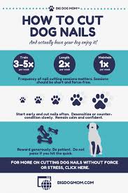 how to cut large dog nails and have