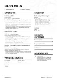 auditor resume examples with objectives
