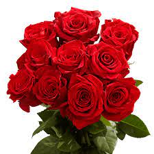 75 long stem orted red roses