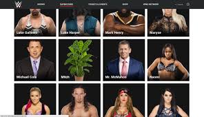 Image result for wwe superstar male and female