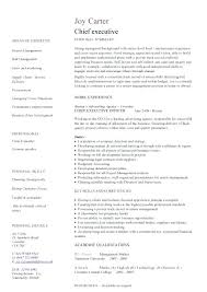 Executive Resume Examples Resume Sample Operations Executive Page 2