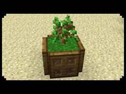 Minecraft How To Make A Plant Pot