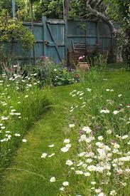 Mini Meadow Garden