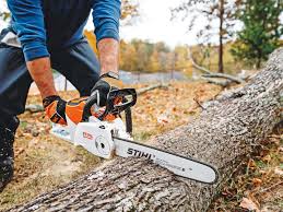 the best electric lawn mower chainsaw